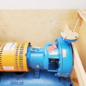 Goulds 2x3-13 3196 MTi Centrifugal Pump