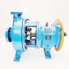 Goulds Pump LF3196 MTX 1×2-10 316SS - Image 4