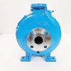 Goulds Pump LF3196 MTX 1×2-10 316SS - Image 2